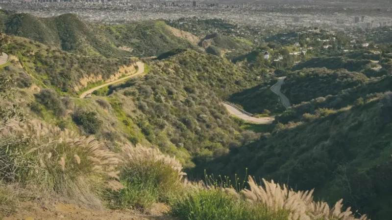 12) Griffith Park(3)