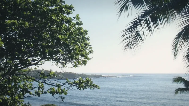 12) Hana Bay(5)