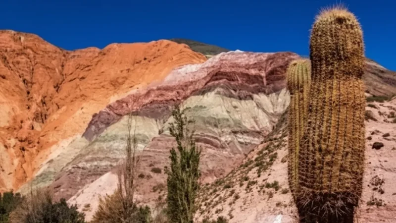 12 High-Altitude Plateaus – Open Andean scenery(3)