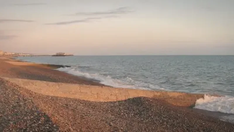 12) Hove Lawns(5)