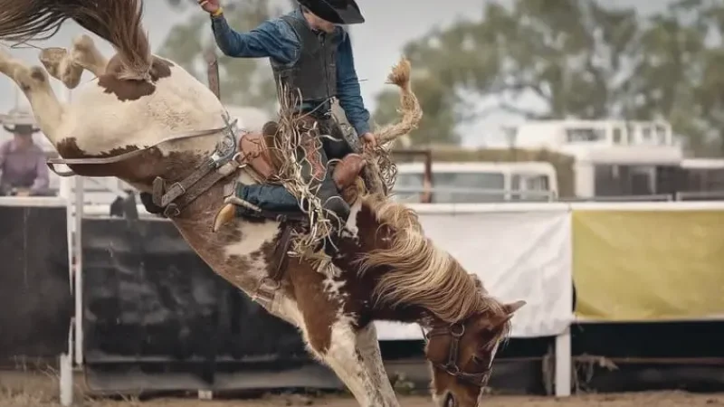 12) Jackson Hole Rodeo(2)