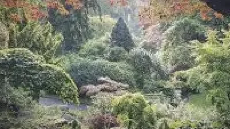 12) Johnston Gardens(3)