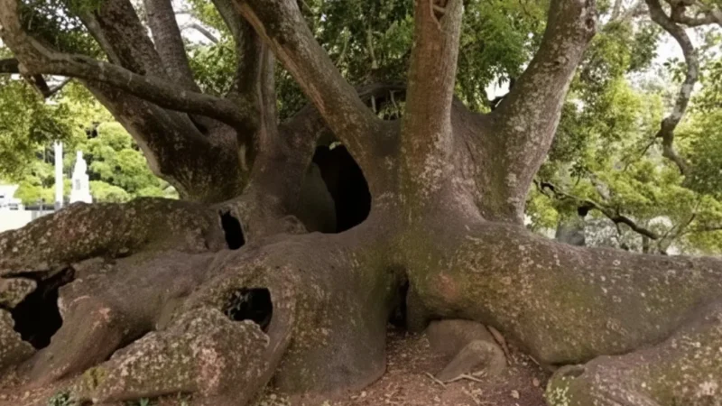 12) Kohlbrand Park Lubeck(4)