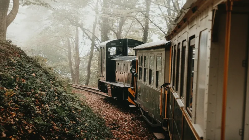 12) Lillafüred Forest Railway(3)