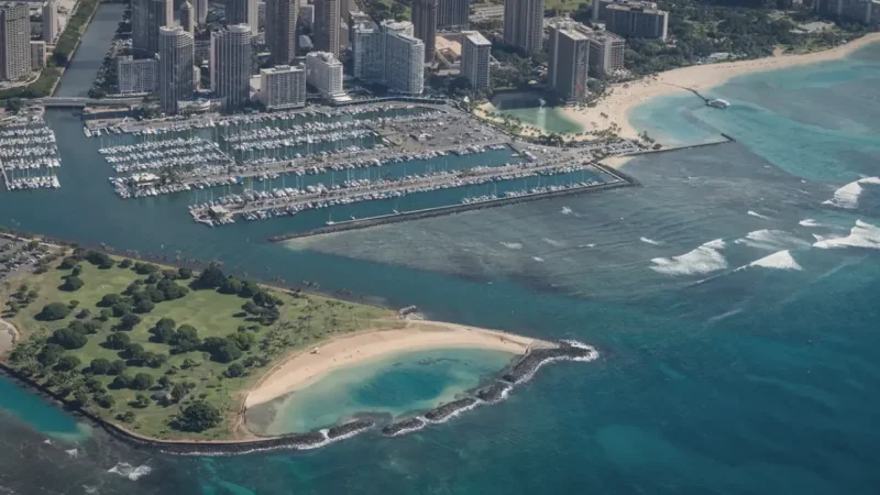 12) Magic Island(1)