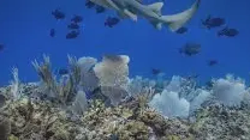 12 Marine Protected Areas(2)