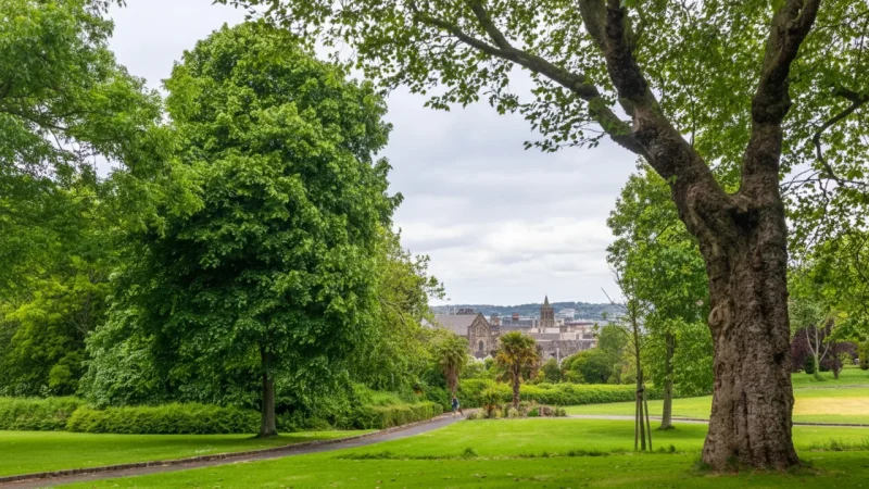 12) Merrion Square(5)