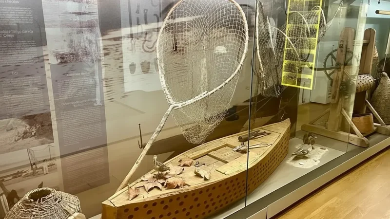 12) Museum Exhibits(2)