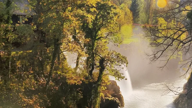 12) Nature Observation Points(2)