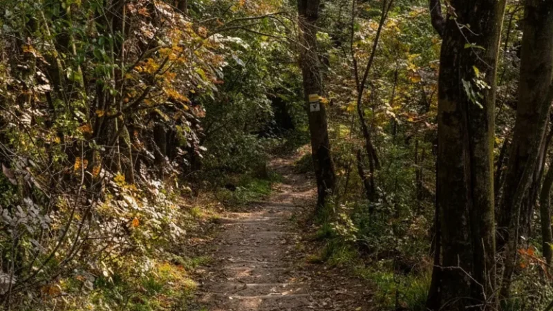 12) Nature Trails(1)