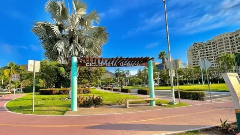 12) Palm-lined Walkways(1)