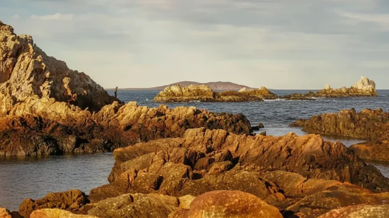 12 Protected Natural Zones – Conservation areas(5)