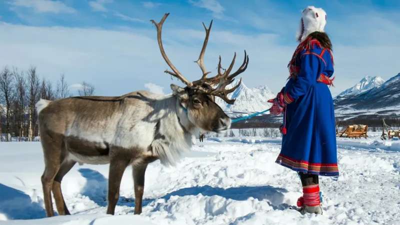 12 Reindeer Herding Areas ‒ Traditional livelihoods(3)