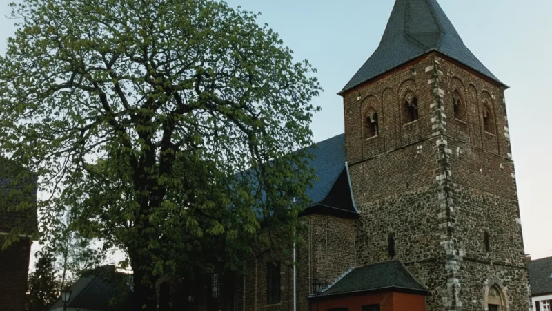 12) Rheindorf Castle Ruin(4)