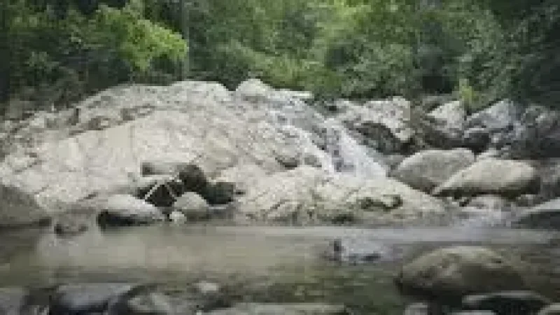 12 River Streams – Freshwater spots(3)