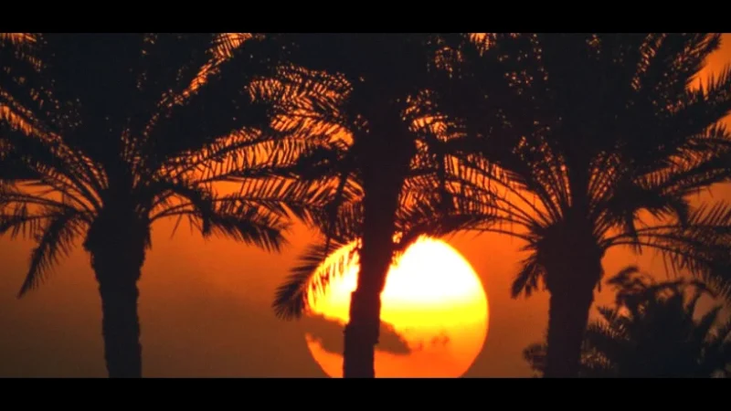 12) Sunrise Desert Viewpoints(4)