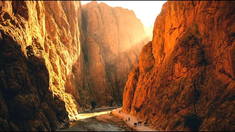 12) Sunrise Viewpoints(2)