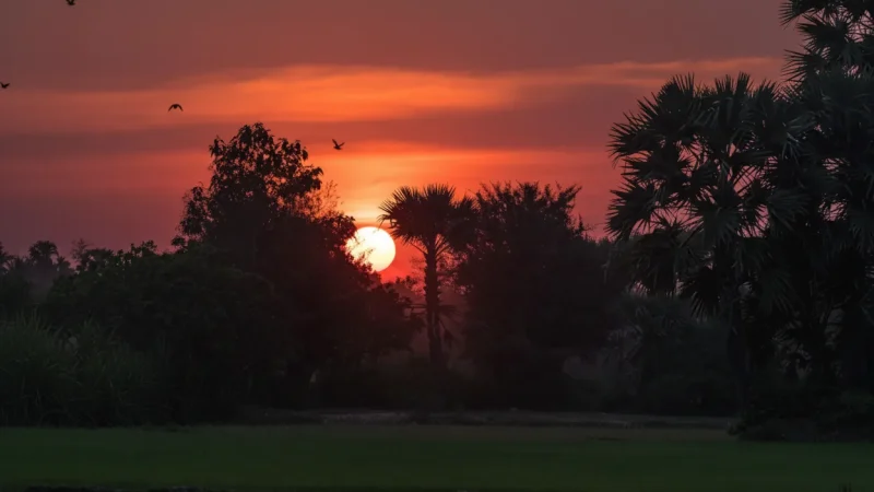12 Sunset Countryside Views – Evening light scenes(3)