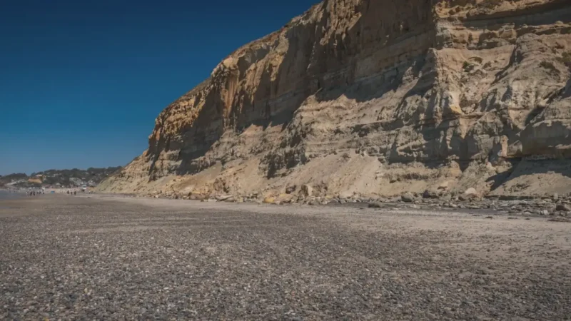 12) Torrey Pines State Reserve(1)