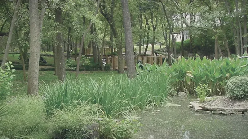 12) Umlauf Sculpture Garden(4)