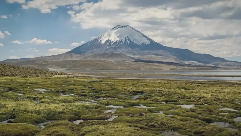 12) Volcanic Rock Fields(2)