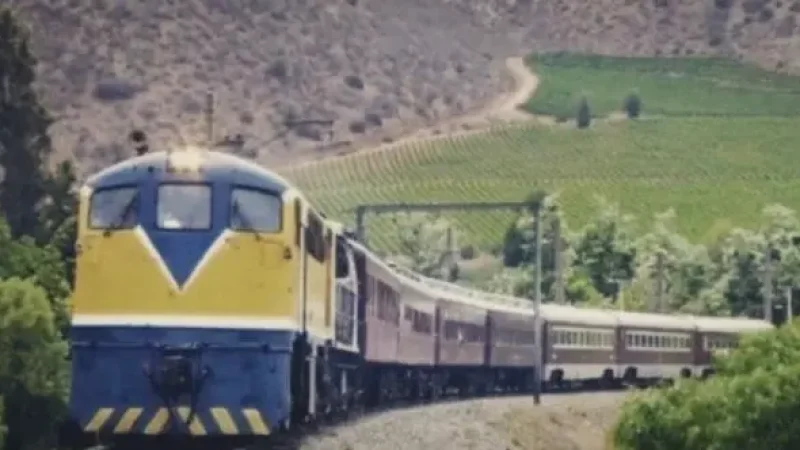 12) Wine Train Experience(4)