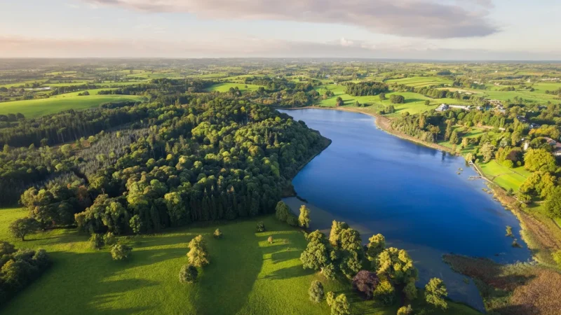 12. Drumlin Countryside(3)