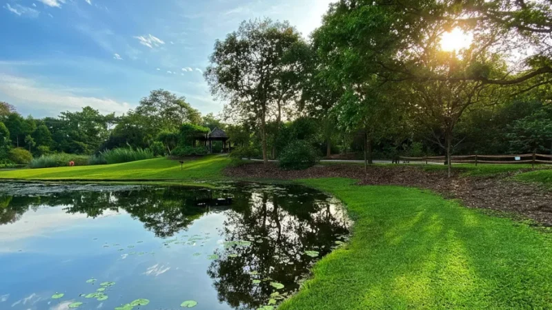 12. Eco Park – A large urban park_(2)