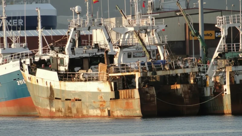 12. Foca Fishing Harbour – Traditional fishing boats area_(1)
