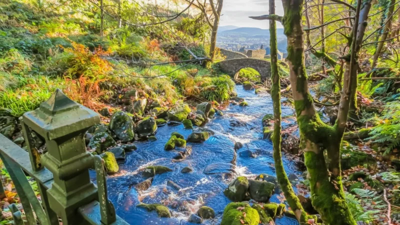 12. Glencree Valley(2)