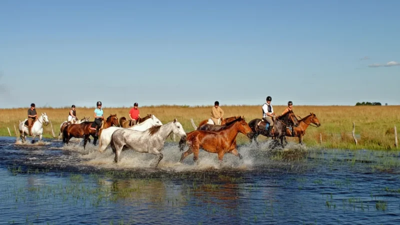 12. Horse Riding Routes – Countryside rides(5)