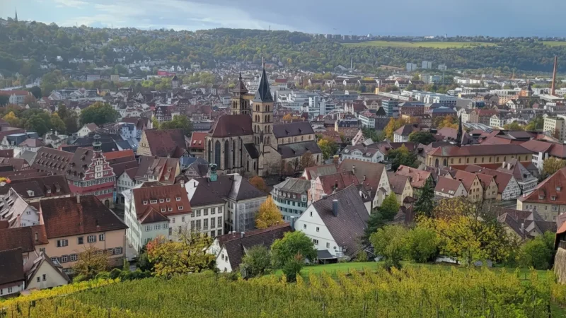 12. Neckarhalde Viewpoint(3)