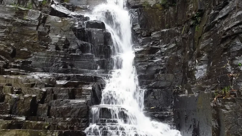 12. Netravali Wildlife Sanctuary – A nature reserve with trails_(1)