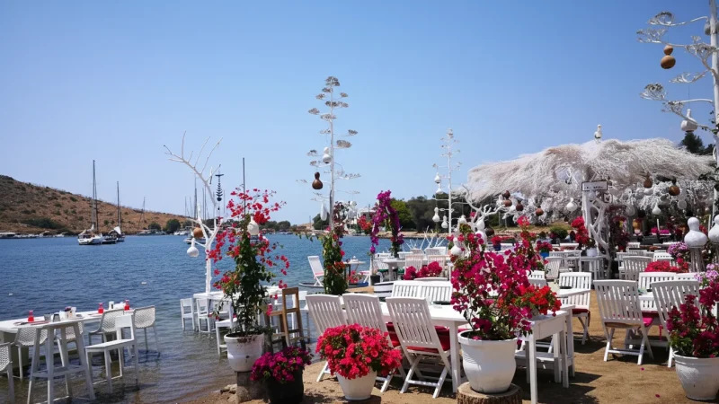12. Rabbit Island (Gumusluk)(2)
