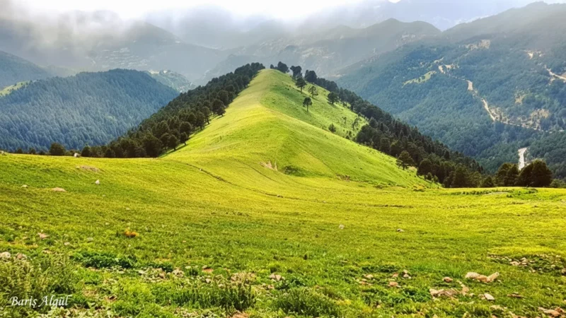 12. Zigana Pass – Mountain road and viewpoints_(2)