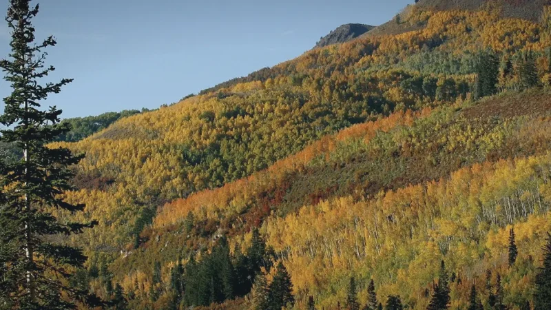 12_Big_Cottonwood_Canyon(6)