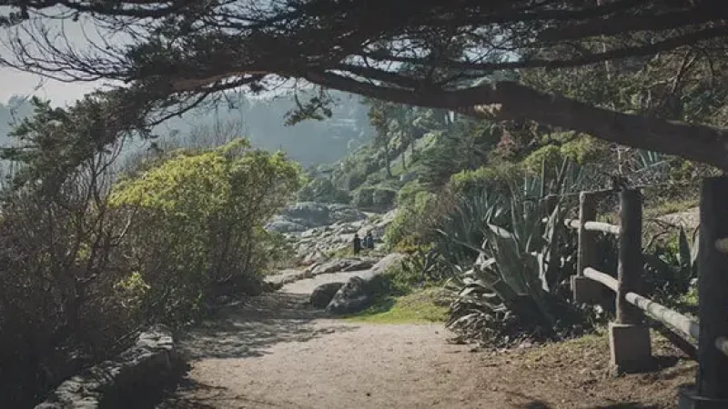 12_Nature_Trails(3)