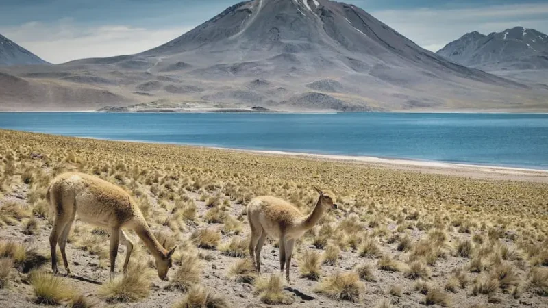 12_Surrounding_Volcano_Views(2)