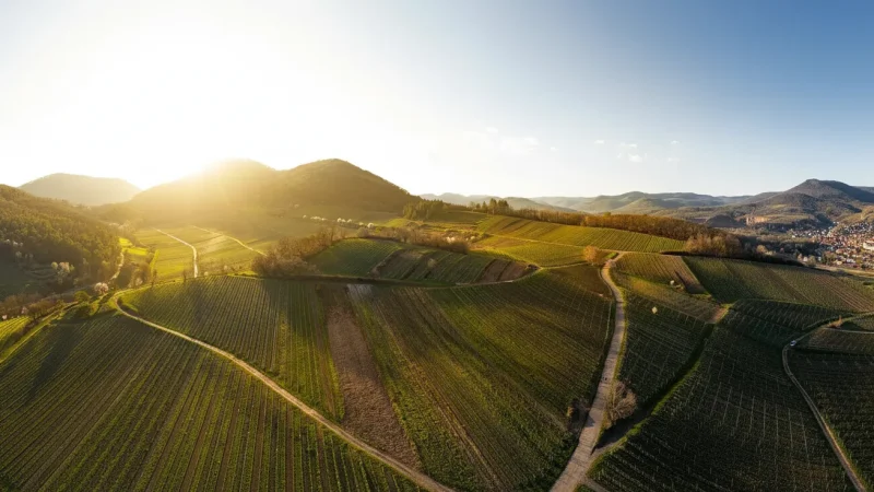 13) Bosel Viewpoint(3)