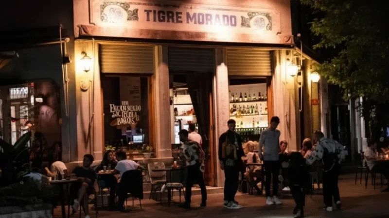 13 Café Areas – Relaxed dining spots(1)