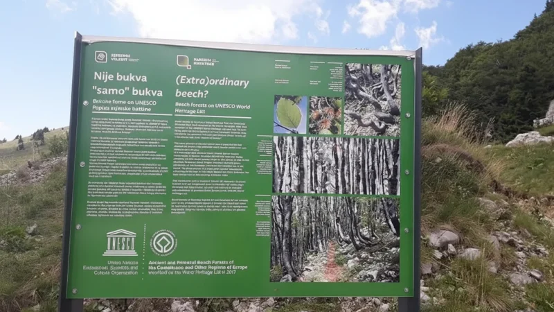 Educational Nature Panels