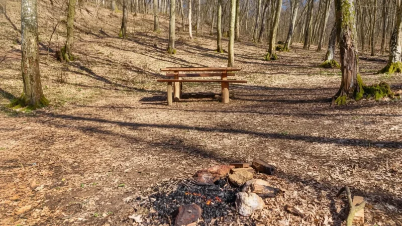 13) Forest Picnic Areas(4)