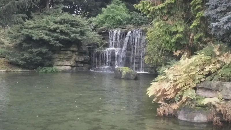 13) Highfields Park(4)
