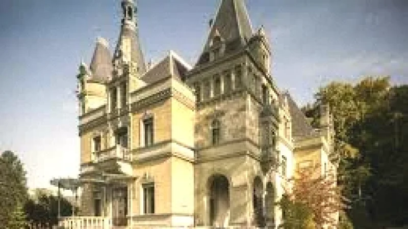 13 Hünegg Castle(4)