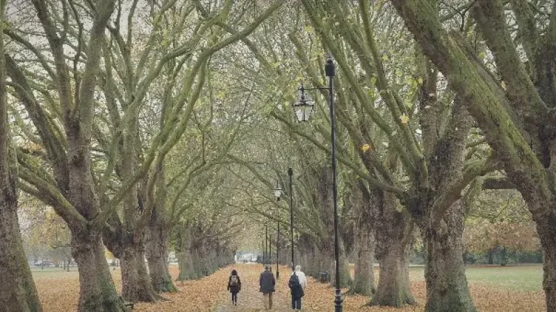 13) Jesus Green(4)