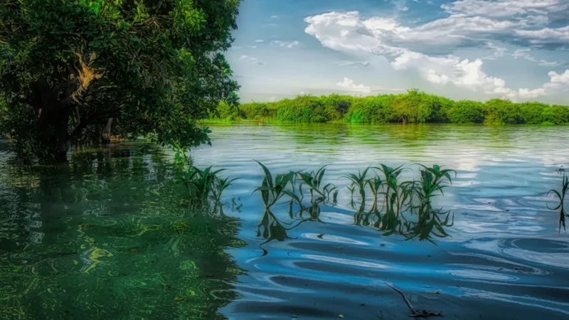 13 Lake Photography Points – Scenic viewpoints(4)
