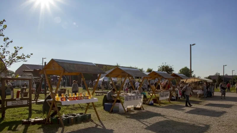 13) Local Markets(2)
