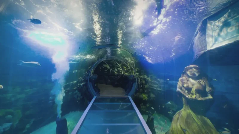 13) National SEA LIFE Centre(4)