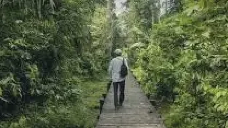 13 Nearby Jungle Trails ‒ Forest exploration(6)