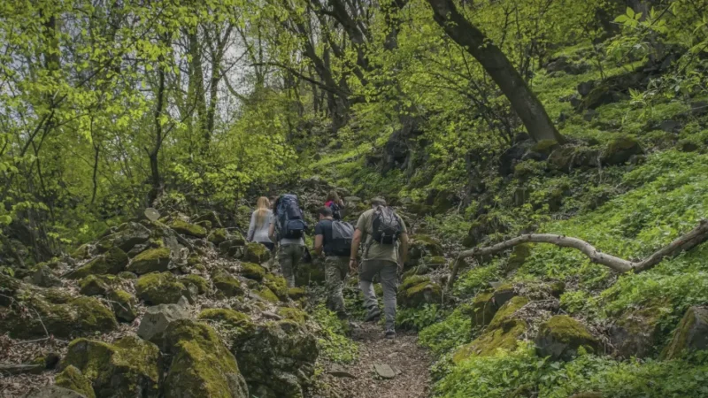 13 Nearby Nature Trails – Short outdoor walks_(3)